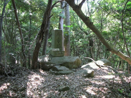 画像10